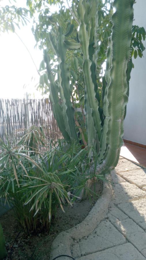 Apartamento Pardela Costa Adeje  Exterior photo