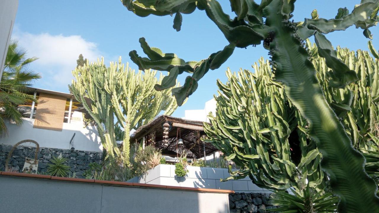 Apartamento Pardela Costa Adeje  Exterior photo